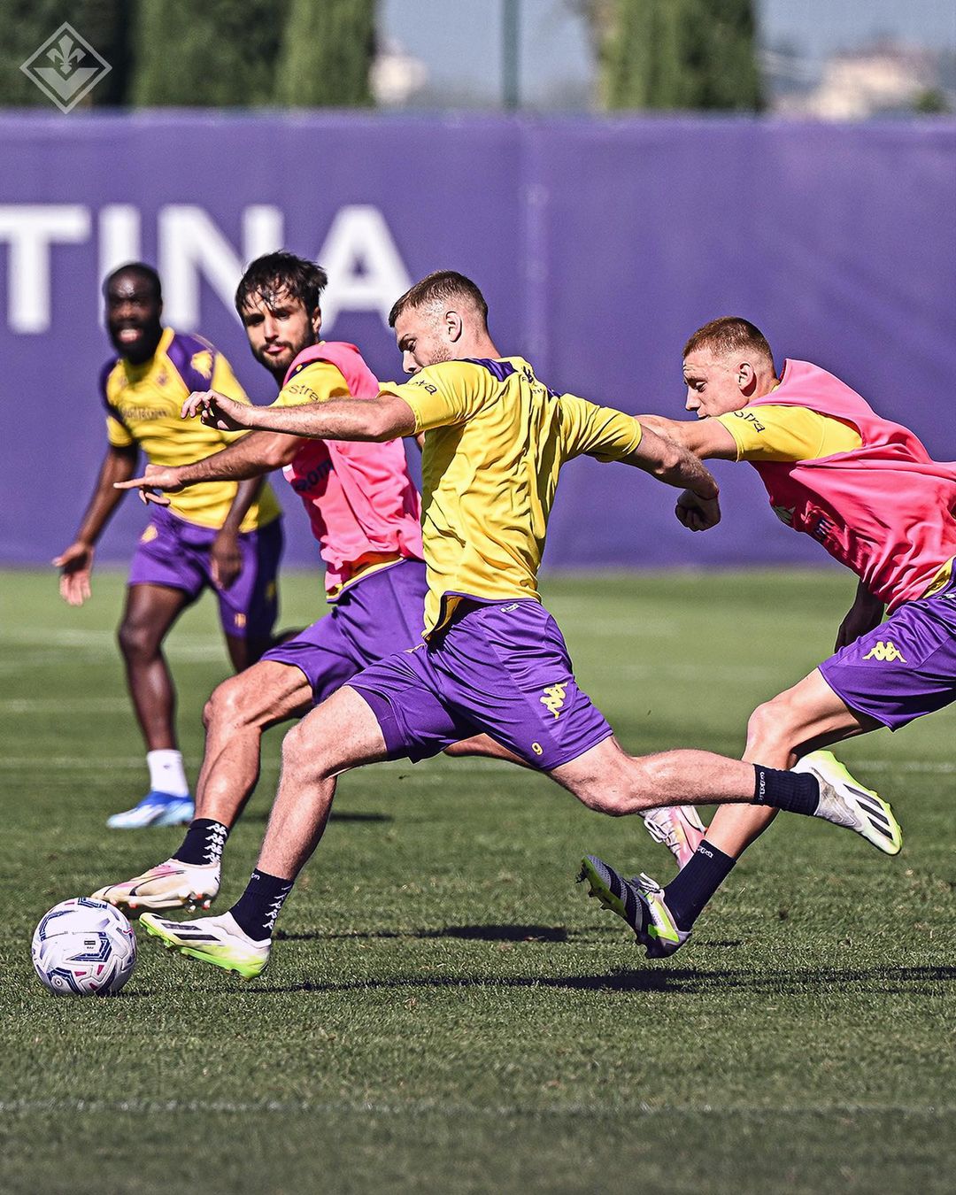 Prediksi Fiorentina vs Cagliari, Serie A Italia