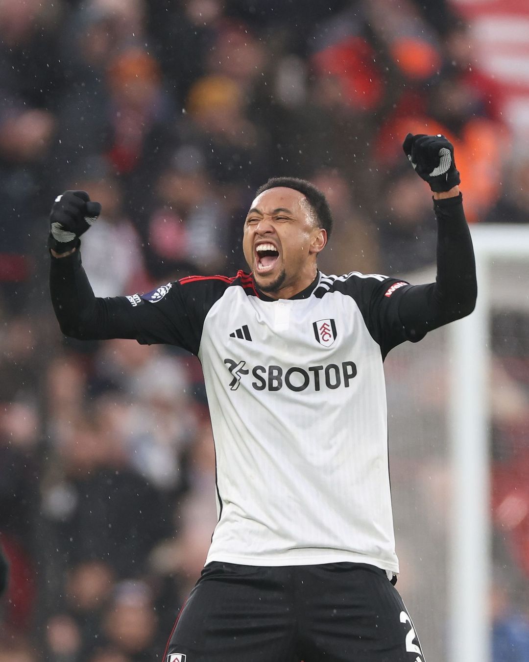 Potret pemain Fulham (SC: Instagram @fulhamfc)