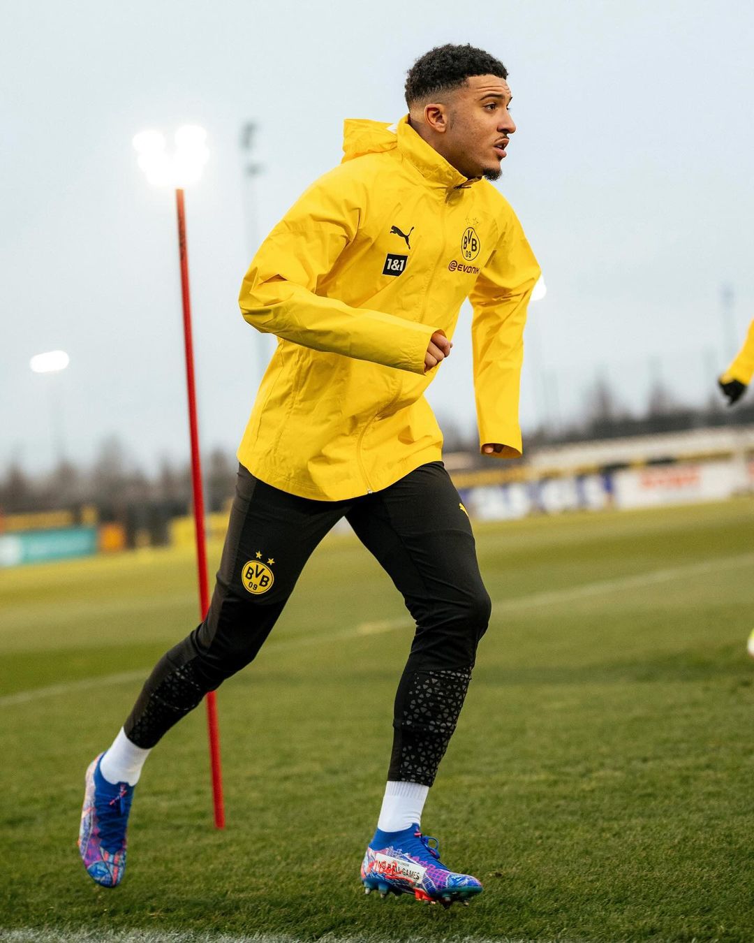 Prediksi Darmstadt vs Dortmund, Pekan Ke-17 Liga Jerman