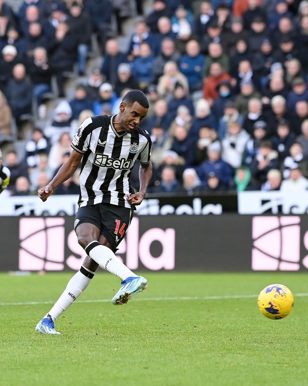 Prediksi Sunderland vs Newcastle, Putaran Ketiga FA Cup