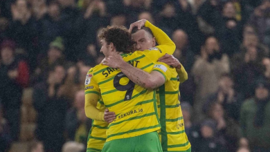 Prediksi Norwich vs Cardiff, Pekan ke-33 EFL Championship