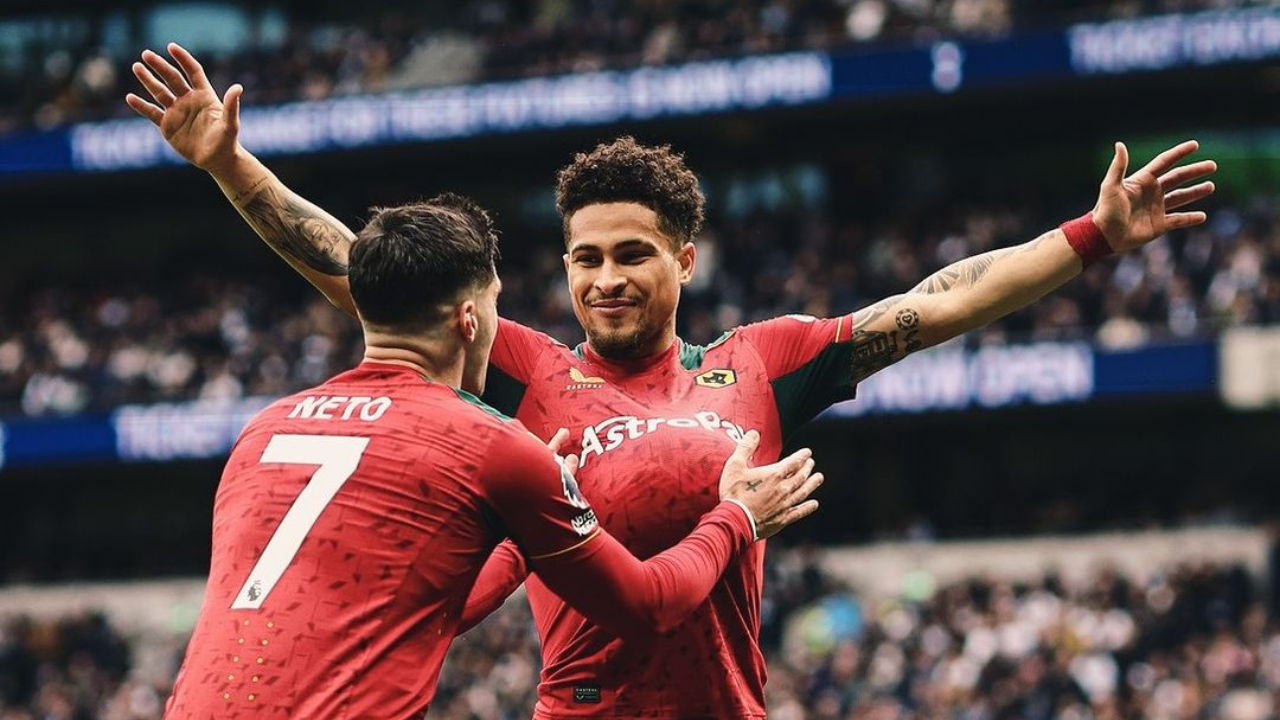 Prediksi Wolves vs Brighton, Putaran Kelima FA Cup