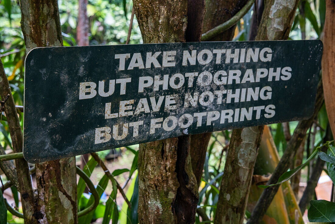 3 Persiapan Utama Mendaki Gunung untuk Pemula, Apa yang Perlu Dibawa? Hukum Mendaki Gunung Take Nothing But Pictures Leave Nothing But Footprints