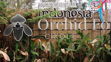 Papan Nama Orchid Forest Cikole (SC: myeatandtravelstory)