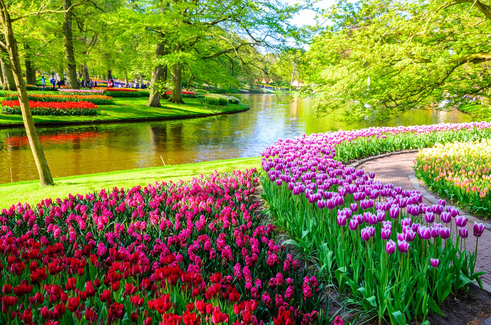 10 Daftar Taman Bunga Tercantik di Dunia, Ada yang Ditumbuhi 7 Juta Bunga Setiap Tahun!