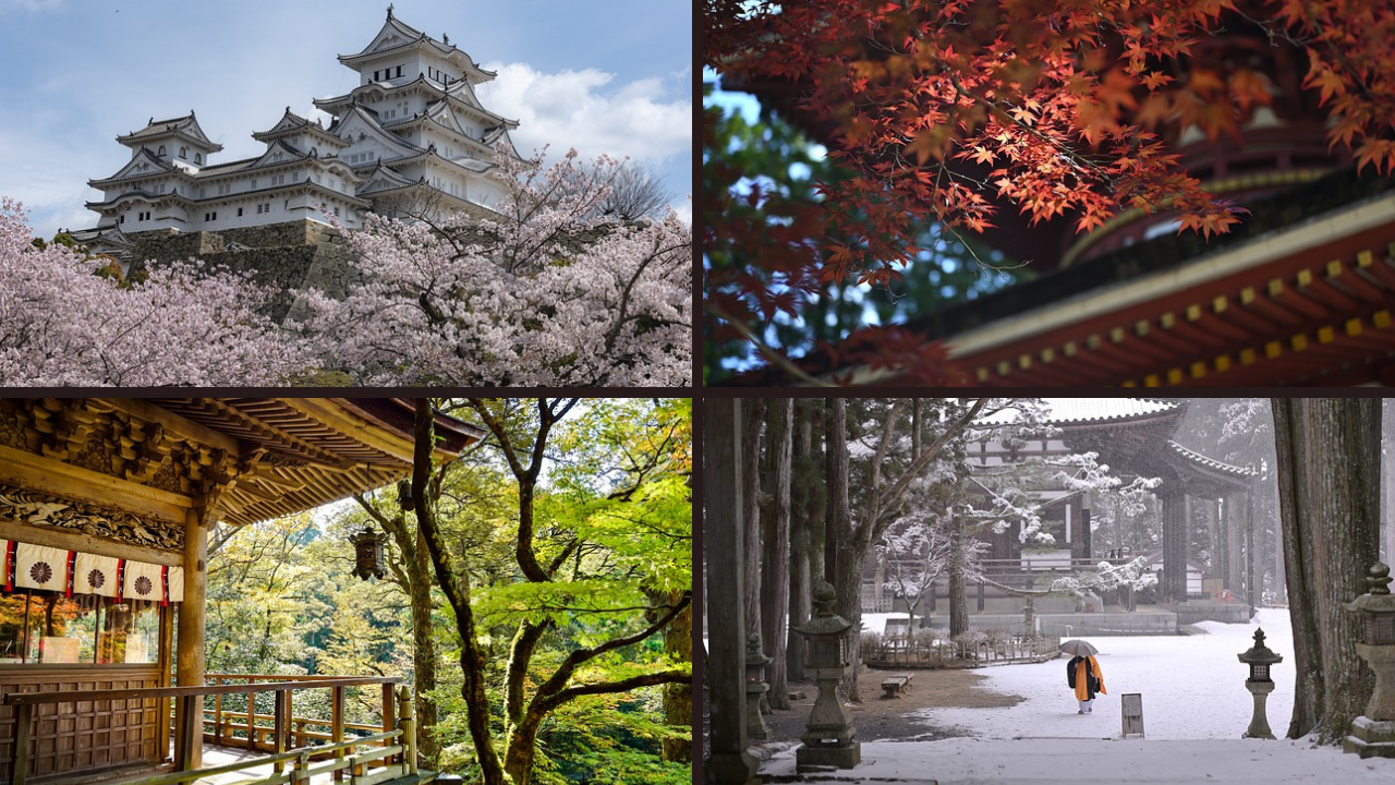 Ternyata Jepang Punya 72 Musim dalam Setahun! Kok Bisa? Begini Penjelasannya