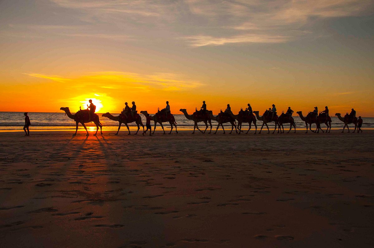 5 Petualangan Tak Terlupakan Bersama Satwa Liar di Australia Barat Cable Beach, Broome