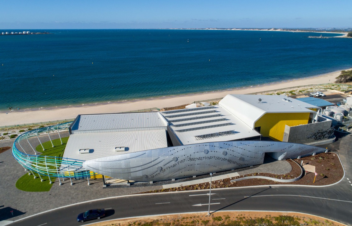 5 Petualangan Tak Terlupakan Bersama Satwa Liar di Australia Barat Dolphin Discovery Centre