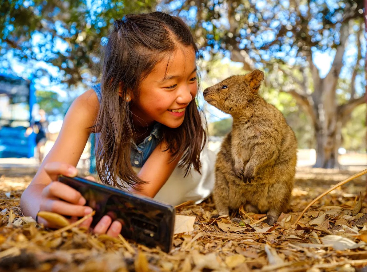 5 Petualangan Tak Terlupakan Bersama Satwa Liar di Australia Barat