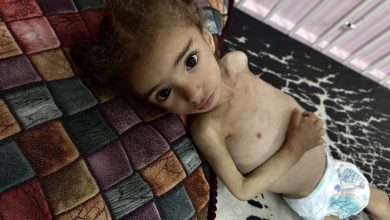 Peringatan PBB: 14.000 Bayi di Gaza Terancam Meninggal dalam 48 Jam Tanpa Bantuan