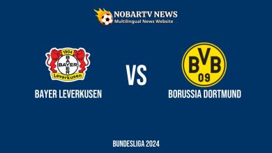 LIVE Bayer Leverkusen vs Borussia Dortmund