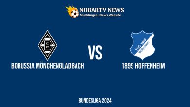 Borussia Mönchengladbach vs 1899 Hoffenheim – Bundesliga 2024 di BORUSSIA-PARK