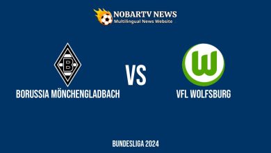 LIVE Borussia Mönchengladbach vs VfL Wolfsburg