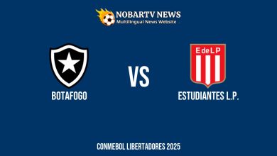 LIVE Botafogo vs Estudiantes L.P.