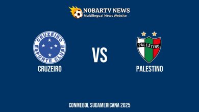 LIVE Cruzeiro vs Palestino