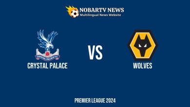 LIVE Crystal Palace vs Wolves