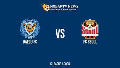 LIVE Daegu FC vs FC Seoul