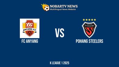 LIVE FC Anyang vs Pohang Steelers