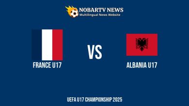 Prediksi Perancis vs Albania di UEFA U17 Senin (26/5) 2025