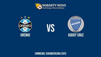 LIVE Gremio vs Godoy Cruz
