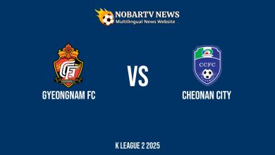 LIVE Gyeongnam FC vs Cheonan City