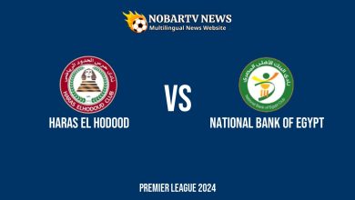 LIVE Haras El Hodood vs National Bank of Egypt