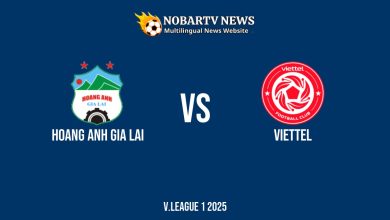 LIVE Hoang Anh Gia Lai vs Viettel