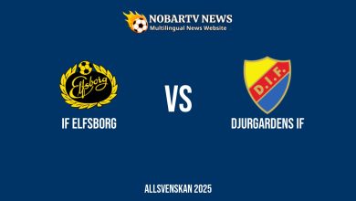 LIVE IF Elfsborg vs Djurgardens IF