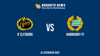 LIVE IF Elfsborg vs Hammarby FF