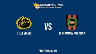 LIVE IF Elfsborg vs IF Brommapojkarna