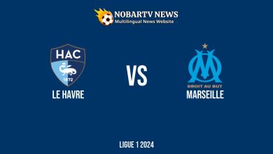 LIVE Le Havre vs Marseille