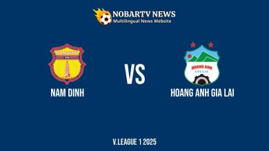LIVE Nam Dinh vs Hoang Anh Gia Lai