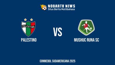 LIVE Palestino vs Mushuc Runa SC