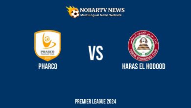LIVE Pharco vs Haras El Hodood