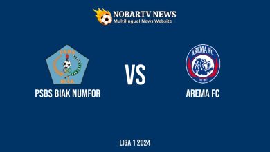LIVE PSBS Biak Numfor vs Arema FC