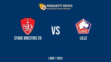 LIVE Stade Brestois 29 vs Lille