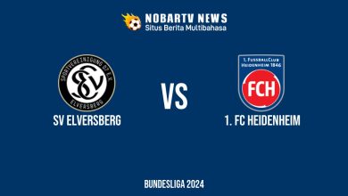 LIVE SV Elversberg vs 1. FC Heidenheim