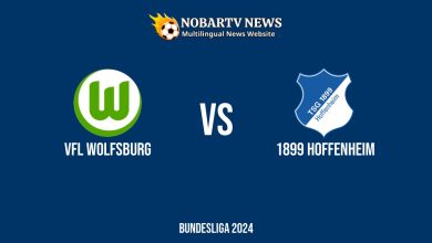 LIVE VfL Wolfsburg vs 1899 Hoffenheim