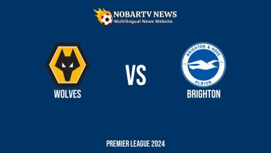 LIVE Wolves vs Brighton