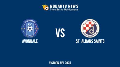NOBARTV LIVE: Avondale vs St. Albans Saints