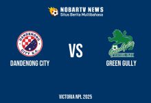 NOBARTV LIVE: Dandenong City vs Green Gully