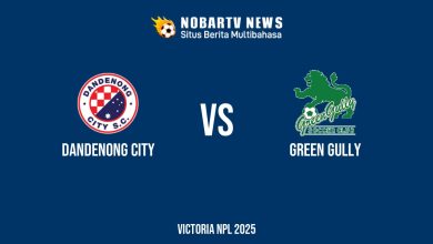 NOBARTV LIVE: Dandenong City vs Green Gully