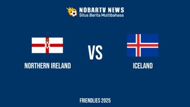 NOBARTV LIVE: Northern Ireland vs Iceland
