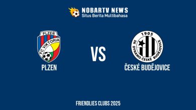 NOBARTV LIVE: Plzen vs České Budějovice