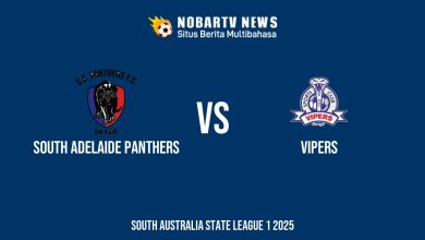 NOBARTV LIVE: South Adelaide Panthers vs Vipers