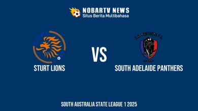 NOBARTV LIVE: Sturt Lions vs South Adelaide Panthers