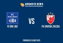 NOBARTV LIVE: FC BW Linz vs FK Crvena Zvezda